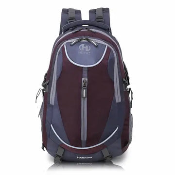 Maroon and gray backpack with visible brand logo on a white large laptop backpack for office college travel 45Lbackground