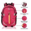 HEROZ Harbour Unisex Nylon 28 L Travel Laptop Backpack Water Resistant Slim Durable Fits Up to 15.6 Inch Laptop Notebook (153-ALL) (Pink)…