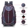 HEROZ Harrow 45 Ltrs Travel Laptop Backpack Slim Durable College School Computer Bookbag tracking for Women, Men, Girls, Boys Outdoor Camping & Fits Up to 17.3-inch laptop (Grey & Wine)